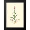 thumbnail image 2 of Curtis 18x24 Black Modern Framed Museum Art Print Titled - Curtis Garden I, 2 of 5