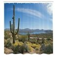 thumbnail image 3 of Ambesonne Nature Shower Curtain, Cactus on the Valley, 69"Wx70"L, Blue Green, 3 of 5