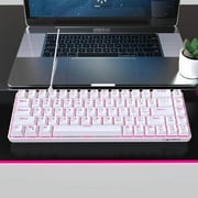 68Keys Mechanical Keyboard Double Shot Hot-Swappable Clicky Switches Backlits