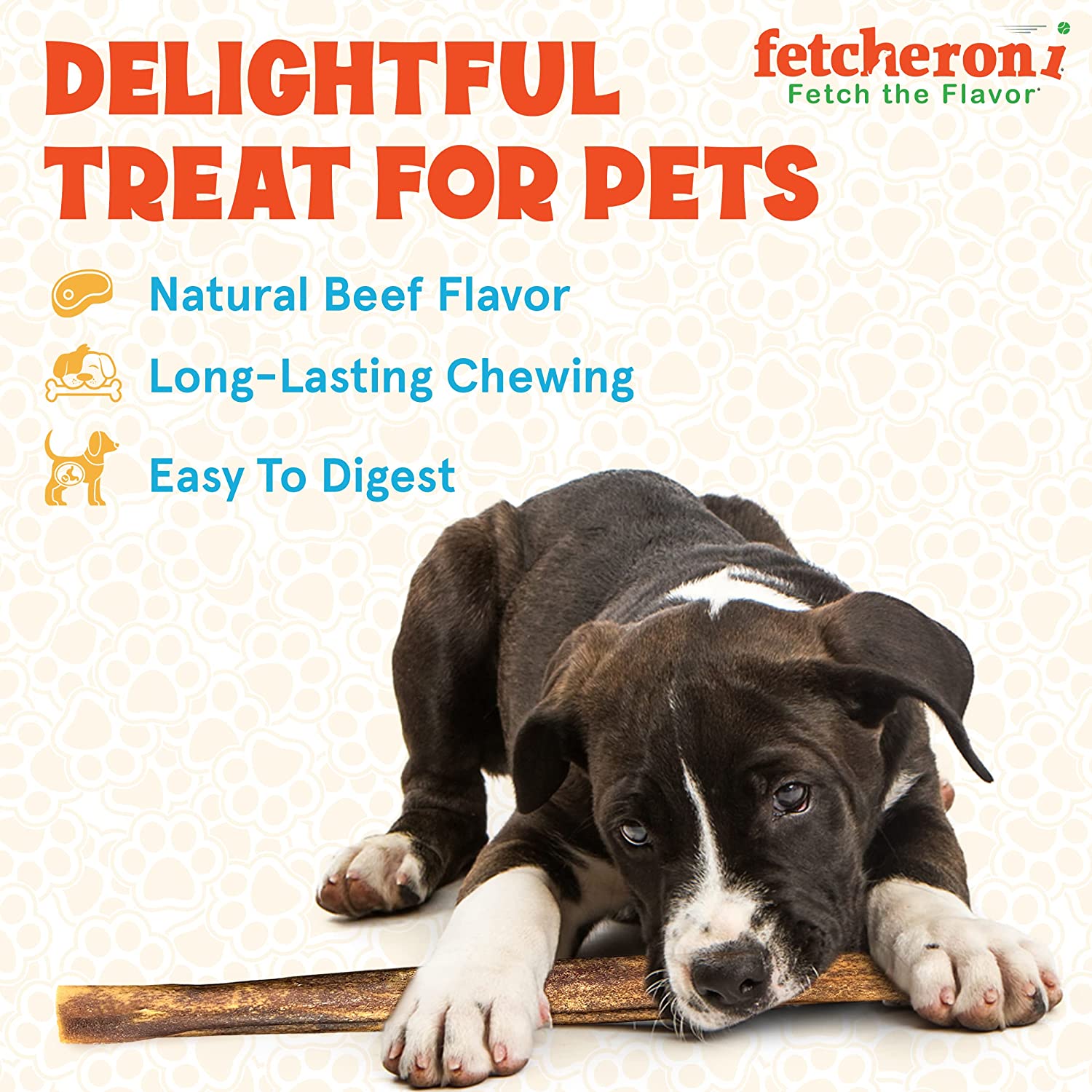 FETCHERONI Dog Chews Long Lasting Bully Stick and Rawhide Alternative. Healthy Beef Collagen Sticks for Dogs. 12 Inch Tasty Dog Treat That Your Dog Will Love. (10 Pack)