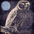 thumbnail image 2 of Sasha 26x26 Black Ornate Wood Framed with Double Matting Museum Art Print Titled - Owl 1, 2 of 4