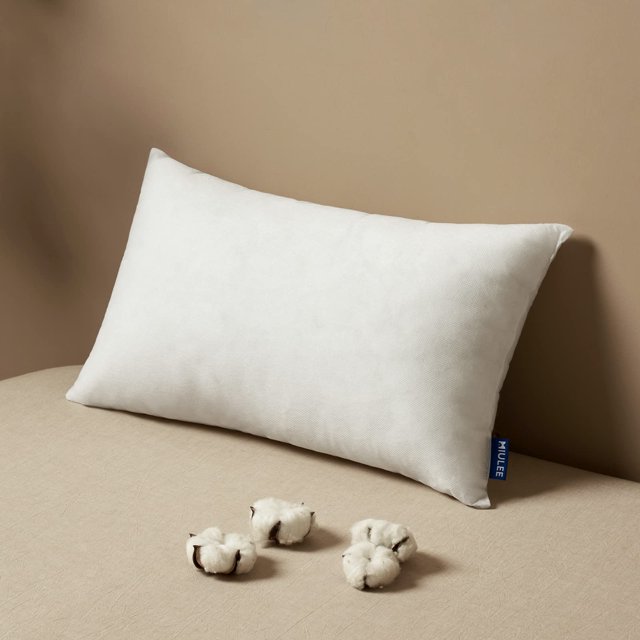 Inserto de almohada decorativo MIULEE de 30 x 50 cm para sofá