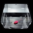 thumbnail image 2 of kurtrusly Reptile Breeding Terrarium Box Ventilation Durable And Sturdy Materials Wide Range Of Applications, 2 of 6