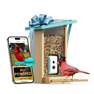 Bird Buddy Solar Powered Bird Feeder with Camera & AI Species