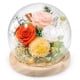thumbnail image 1 of Rosa preservada FIACO Forever Fresh Flowers en cúpula de cristal, 1 of 6