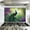 Color 1, variant on Kitchen Backsplash Peel and Stick Wall Murals Bright Colorful Boho Botanicals Gold Modern Removable Mural 35.4"W x 23.6"H, Oil Proof Vinyl Wallpaper for Fireplace & Behind Stove