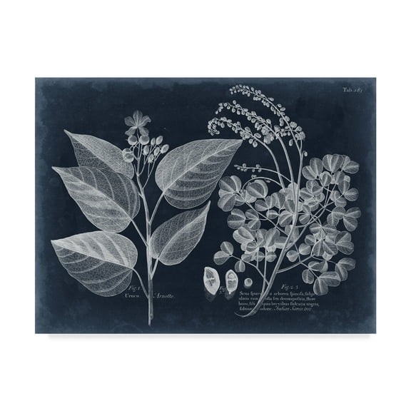 Trademark Fine Art 'Foliage on Navy III' Canvas Art by Vision Studio