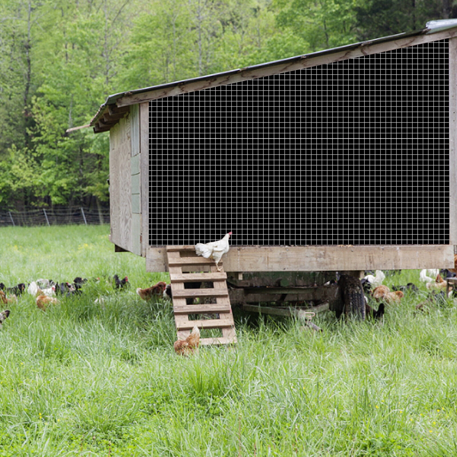 HOSTIC Hardware Cloth 36 in x 100 ft 1/4 in, Chicken Wire Fence (23 Gauge), Galvanized Welded Cage Wire Mesh Roll for Chicken Coop, Screen mesh, Rabbit Fence and Poultry Enclosures (Silver White)