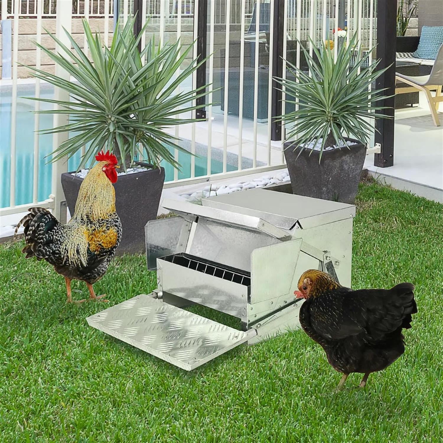 Kadyn Outdoor Automatic Metal Chicken Feeder, Poultry Feeder with Protective Lid for Chickens, Bantams, Pheasants, Holds 30 lbs of Feed, Silver