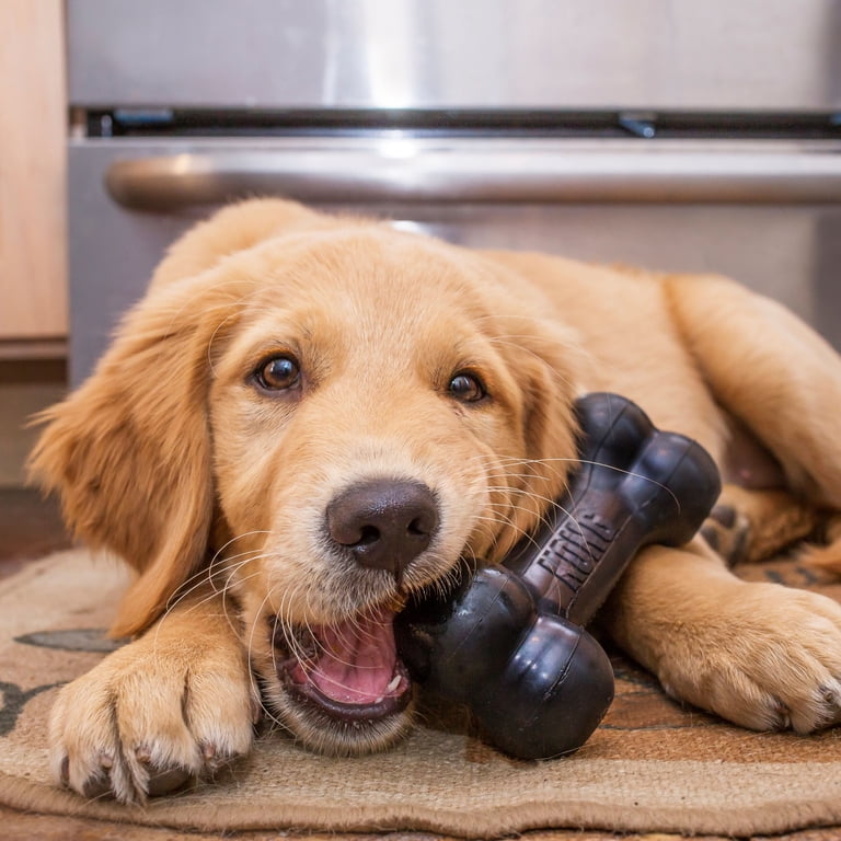 KONG Extreme Goodie Bone Dog Toy, Black with Stuff'N Snacks and