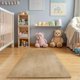 thumbnail image 2 of Alfombra de área rug jinchan 76x152 cm suave, de peluche, lavable, antideslizante, color beige, 2 of 8