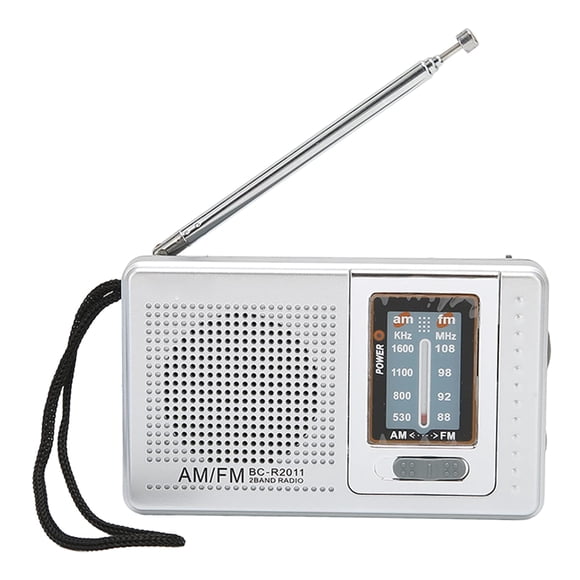 Altavoz portátil Sanpyl AM FM Transistor 5W plateado
