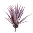 thumbnail image 1 of Coofit Artificial Succulent Decorative DIY Fake Succulent Fake Plant for Home Decor, 1 of 7