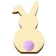 thumbnail image 2 of Wosthever 5 piezas de de conejo, decoraciones de Pascua, manualidades para álbum de recortes, regalos de aniversario, accesorios de Decoración del hogar JM01167, 2 of 6