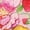 HEATHER PINK, variant on Strawberry Shortcake - Strawberry Patch Friends Fitted Short Sleeve Graphic T-Shirt