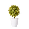 thumbnail image 1 of Planta artificial en maceta Plantas artificiales Bonsai Árbol de simulación Flores falsas decorativas de escritorio sidaley JJ25587-03B, 1 of 6