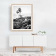 thumbnail image 3 of Heisler Park 02 B&W - Laguna Beach California Photography Black and White Palm Tree Coast Ocean Tropical Landscape Seascape Unframed Wall Art Print 5 x 7 inches, 3 of 4