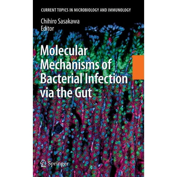 Current Topics in Microbiology and Immmu Molecular Mechanisms of Bacterial Infection Via the Gut, Book 337, (Hardcover)