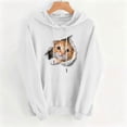 thumbnail image 6 of NSLGXD Cat Print Pullover Hoodies for Women Animal Graphic Loose Drawstring Hooded Sweatshirt Long Sleeve Soft Fleece Lined Casual Tops with Pocket S-XL, 6 of 6