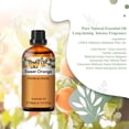 thumbnail image 3 of PHATOIL Sweet Orange Essential Oils for Diffusers Humidifier 100% Pure Natural Aromatherapy Massage Bath Sleep Relaxation 30ml/1.01 fl.Oz, 3 of 7