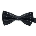 thumbnail image 1 of Cravate Formelle à Motif Coloré pour Homme, Nœud Papillon pour Homme, Cravates pour Adulte Homme, Réunion d'Affaires, Mariage, Nœud Papillon en Fil de Polyester, 1 of 7