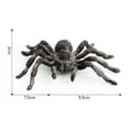 thumbnail image 3 of Realistic Plastic Spider Fake Insect Tricky Prank Joke Toys Halloween Props Gift, 3 of 3