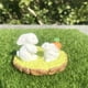 thumbnail image 4 of 20 piezas miniaturas de jardín de hadas setas, Mini setas estatuilla para Micro paisaje/macetas/bonsái/decoración de pasteles Vhermosa HMHZ1028-2, 4 of 8