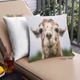 thumbnail image 1 of Ahgly Company Animals Llama Coussin Extérieur, 18 Pouces par 18 Pouces, 1 of 6