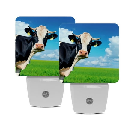 

LED Night Lights Plug into Wall 2-Pack 0.5W Plug in Night Light Dusk to Dawn White Bright Nightlight for Bedroom Bathroom Hallway Kitchen Animal Cow Pasture Grass Sky