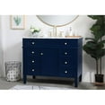 thumbnail image 2 of Elegant Lighting VF12542BL Park Avenue 42" Free Standing Single Basin Vanity Set - Blue, 2 of 8