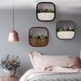thumbnail image 3 of Joernso Wall Flowerpot DIY Decorative Creative Wall Hanging Flower Pots Garden Basket Tool for Home, 3 of 8