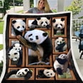 thumbnail image 3 of Impresión de animación de manta de cordero alrededor de un mapa de manta de piel sintética con parte posterior de felpa impresa, 3 of 6