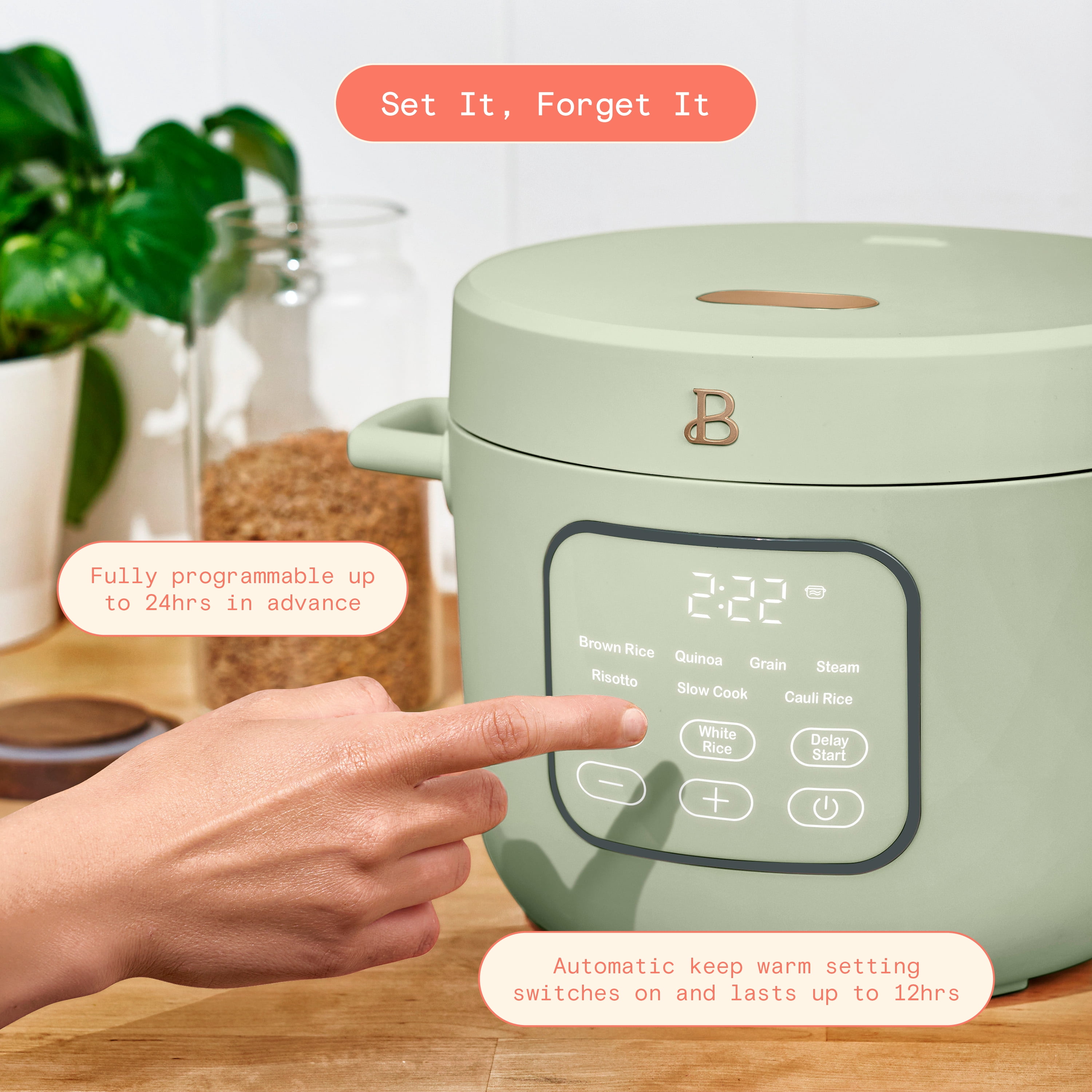Beautiful 14-Cup Cooked, 6-Cups Uncooked Electric Rice and Grain Cooker, EverGood™ Ceramic Nonstick Coating, Sage Green by Drew Barrymore