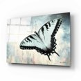 thumbnail image 2 of Epic Art 'Teal Butterfly II' by Lori Deiter Acrylic Glass Wall Art, 16"x12", 2 of 8
