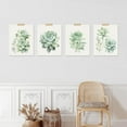 thumbnail image 2 of PixonSign&nbsp;Frameless Pastel Echeveria Cactus Succulent Wall Art, Set of 4 Nature Wilderness Prints, Botanical Floral Plant Wall Décor, Rustic Artwork for Living Room, Bedroom, Office - 11"x14", 2 of 5
