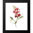 thumbnail image 2 of Robinson, Carol 12x14 Black Modern Framed Museum Art Print Titled - Scarlet Sweet Pea, 2 of 5