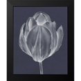thumbnail image 2 of Goldberger, Jennifer 15x18 Black Modern Framed Museum Art Print Titled - Monochrome Tulip I, 2 of 5