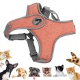 thumbnail image 3 of Pet Chest Strap, Walking  Leash Adjustable Reflective Comfortable  For Jog For Walk Blue,Orange,, 3 of 8