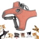 thumbnail image 5 of Chaleco para perros Arnés Correa para mascotas Reflectante Ajustable Transpirable ANGGREK  Otros, 5 of 8