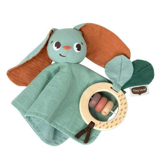 Tiny Love Gift Set