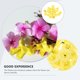 thumbnail image 2 of 50pcs Cabezas de flores de Stapelia de seda sintética artificial Home Garden Party Decor (Amarillo), 2 of 6
