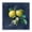 Lemon Citrus Botanical_v1, variant on Stupell Industries Farmhouse Black Framed Giclee Art, 12 x 12, by Danhui Nai