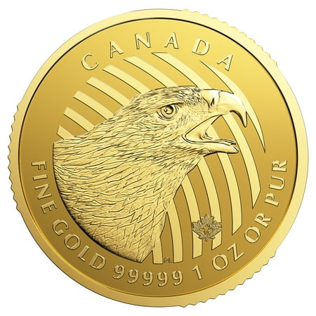 Ms63 Gold Coin - 2018 RCM Golden Eagle Call of the Wild Series 1 oz Coin
