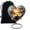 Hen-3, variant on SUBSH Hen Memorial Decorative Urns - Cremation Mini Urn For Mom - Heart Shape - Memorial Urn Keepsakes For Ashes - Sunset Small Ashes Urns Keepsake - 3 Inch - Pack Of 1