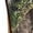 MOSSY OAK COUNTRY DNA, variant on Rocky Lynx Snake Waterproof Zipper Pull-On Snake Boot