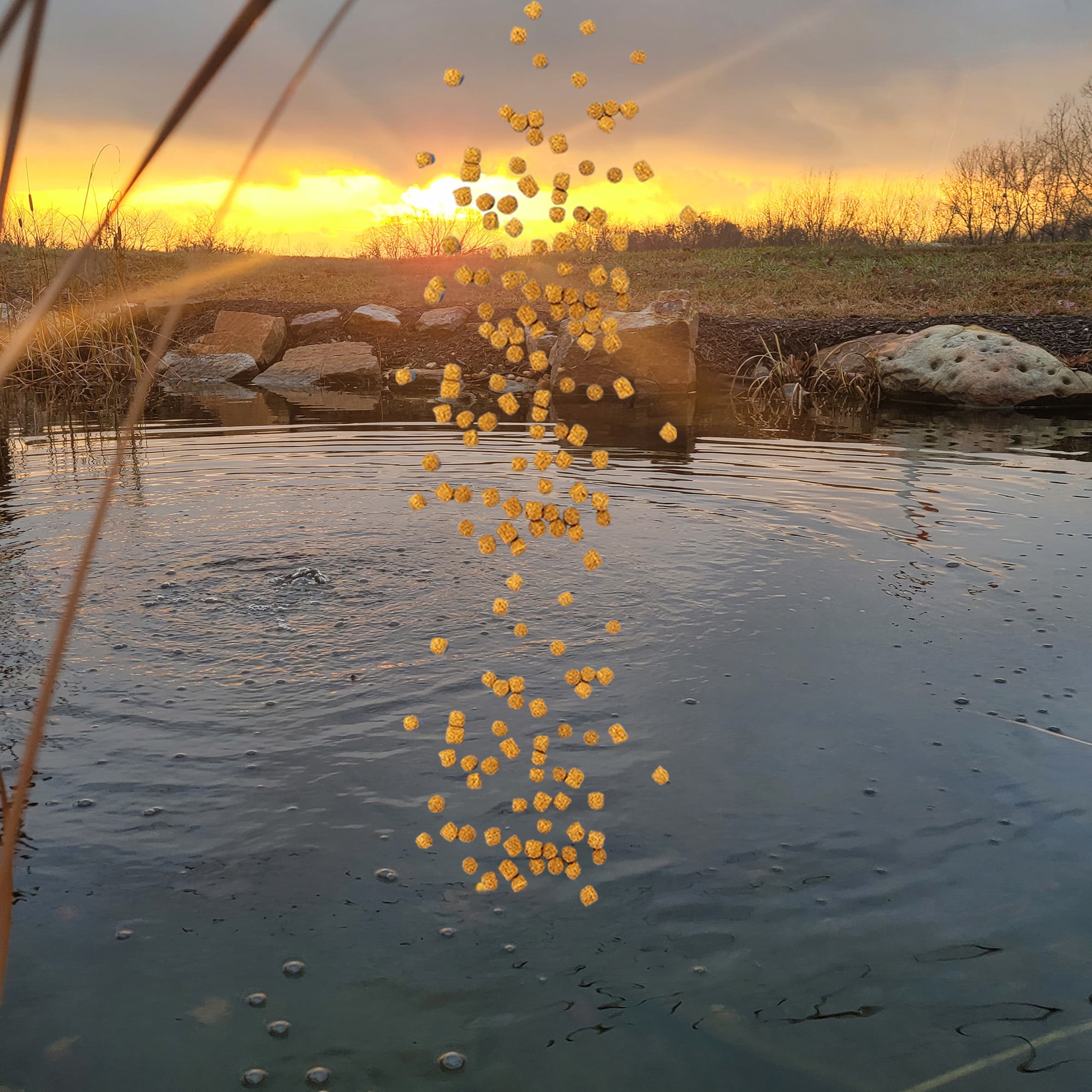 Half Off Ponds Grow Pro Koi and Goldfish 5mm Food Pellets, 20 lb Bag