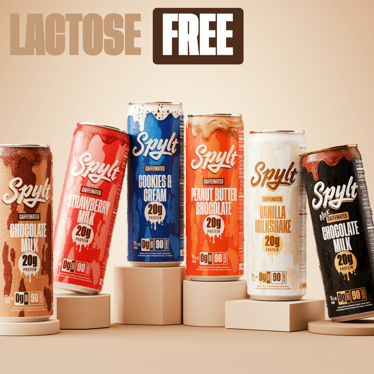 Spylt Protein Milk, 60 mg Caffeine, 20g Protein, Sugar and Lactose Free, 6 Flavor Variety Pack, 11 oz, 12 Count