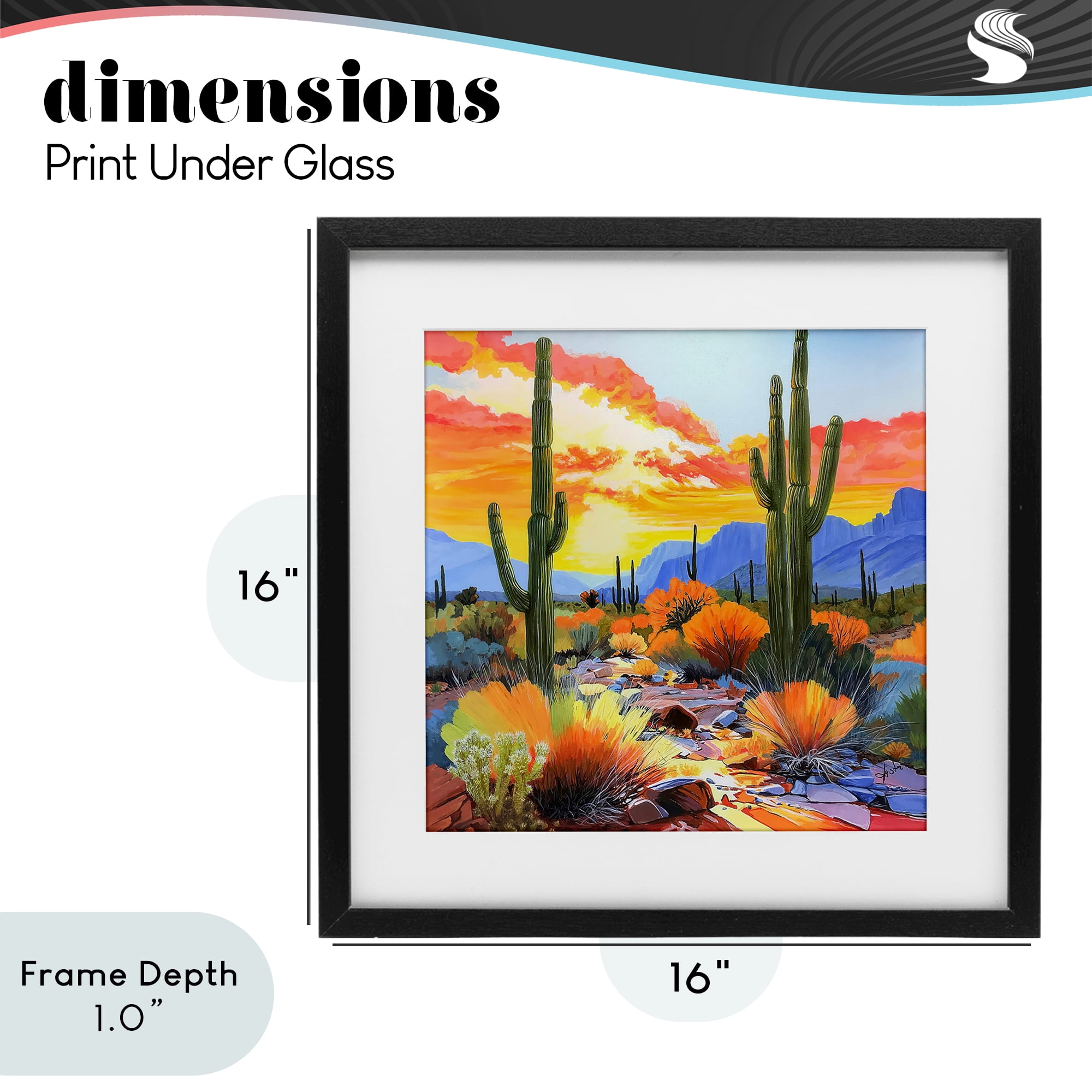Stupell Industries Desert Splendor Cacti Black Framed Print Under Glass, design by John Jaster