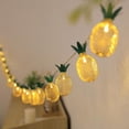 thumbnail image 2 of Lámpara de cadena de piña de malla de hierro tu un 3 m 20 LED con batería, 2 of 5