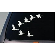 Flying Ducks Vinyl Truck 8" sticker Decal Landing Quack Hunting MALLARD *D689*